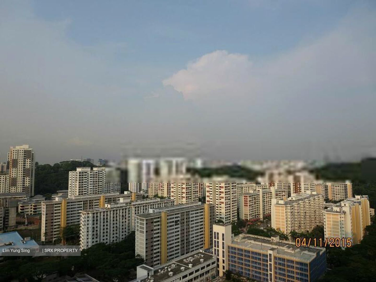 Skyline Residences (D4), Condominium #408381521